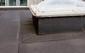 disadvantages of Great Whittington flat roofs