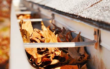 Great Whittington gutter cleaning companies
