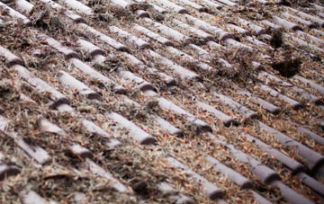 Great Whittington roof cleaning companies