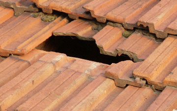 roof repair Great Whittington, Northumberland