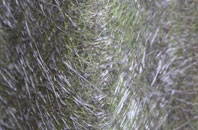 Great Whittington fibreglass roof work